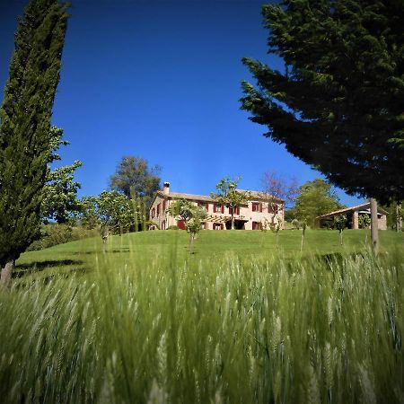 Quelli Del Picchio Bed & Breakfast Cupramontana Eksteriør bilde