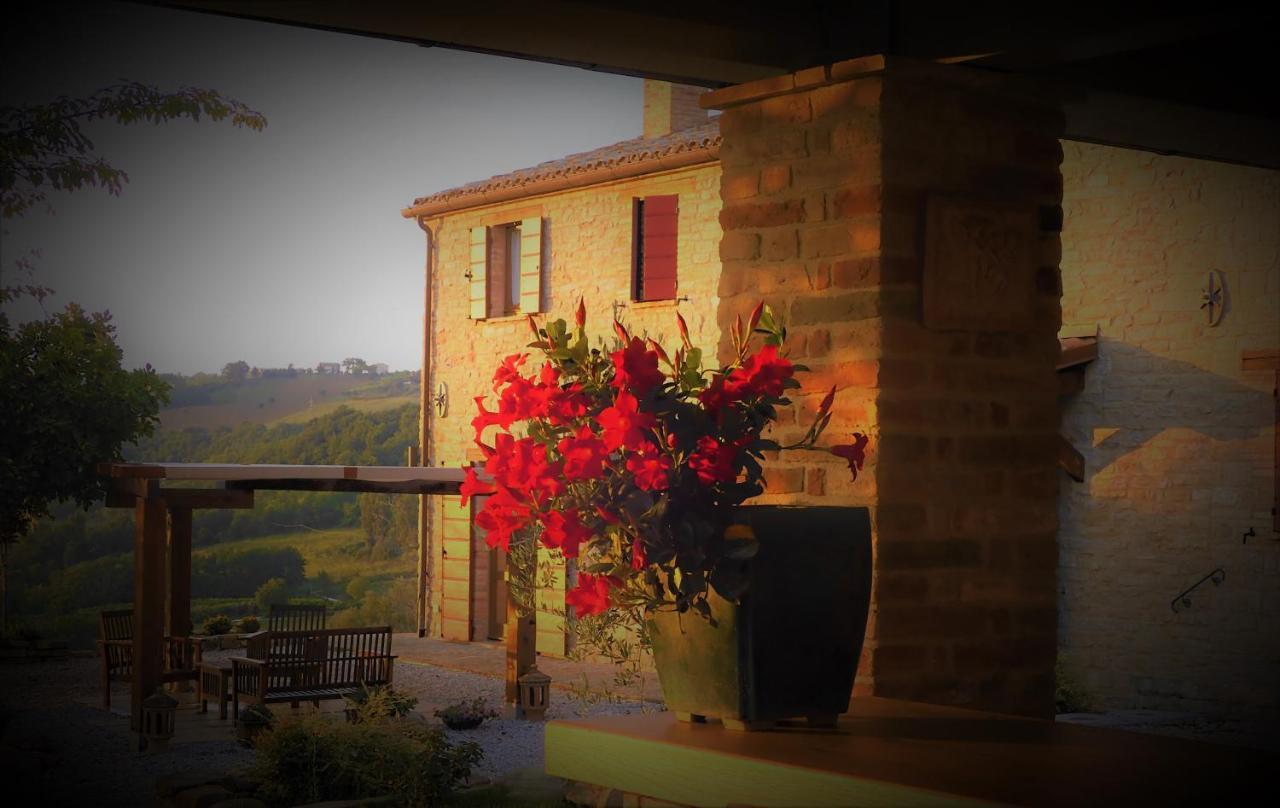 Quelli Del Picchio Bed & Breakfast Cupramontana Eksteriør bilde