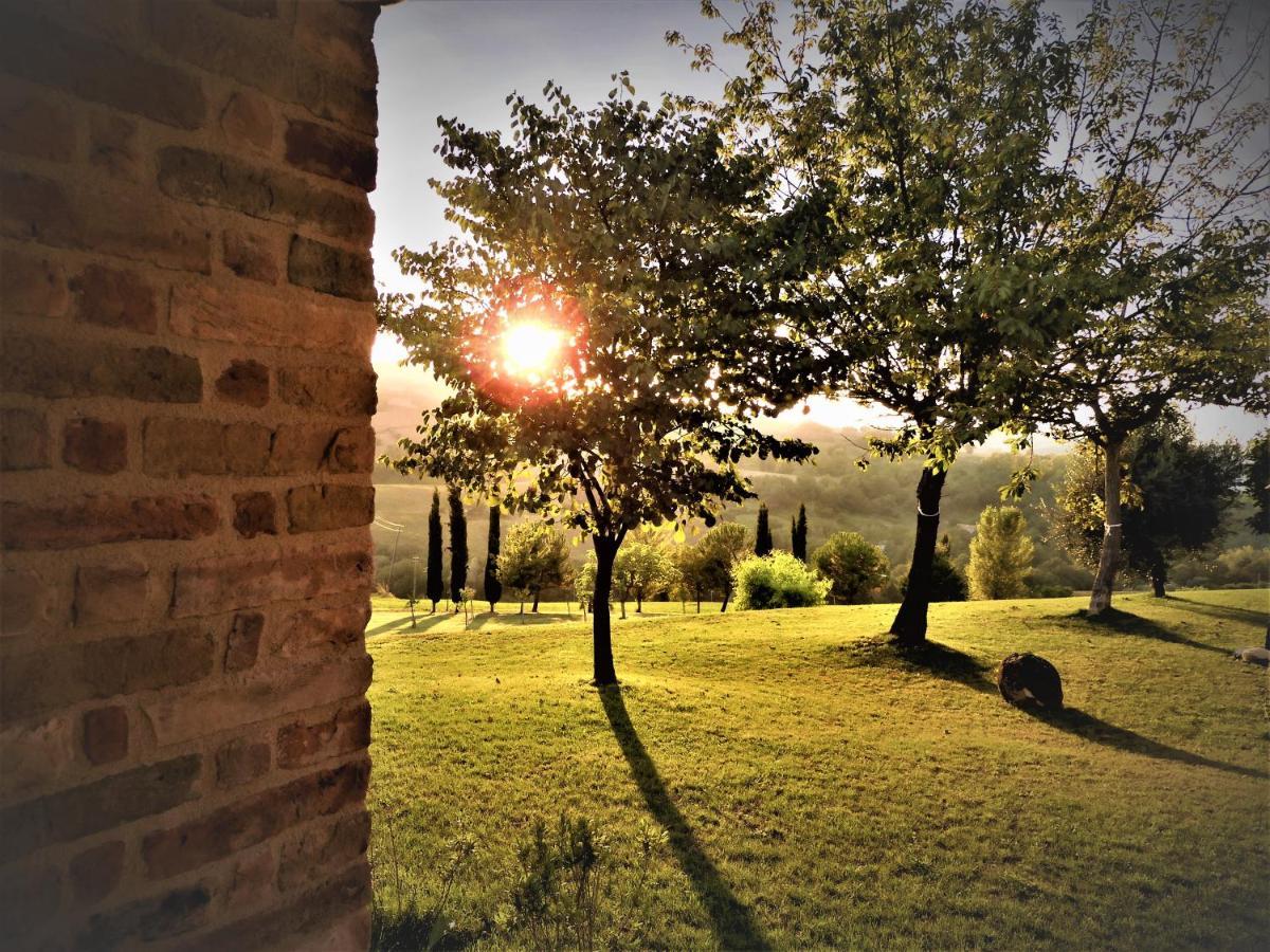 Quelli Del Picchio Bed & Breakfast Cupramontana Eksteriør bilde
