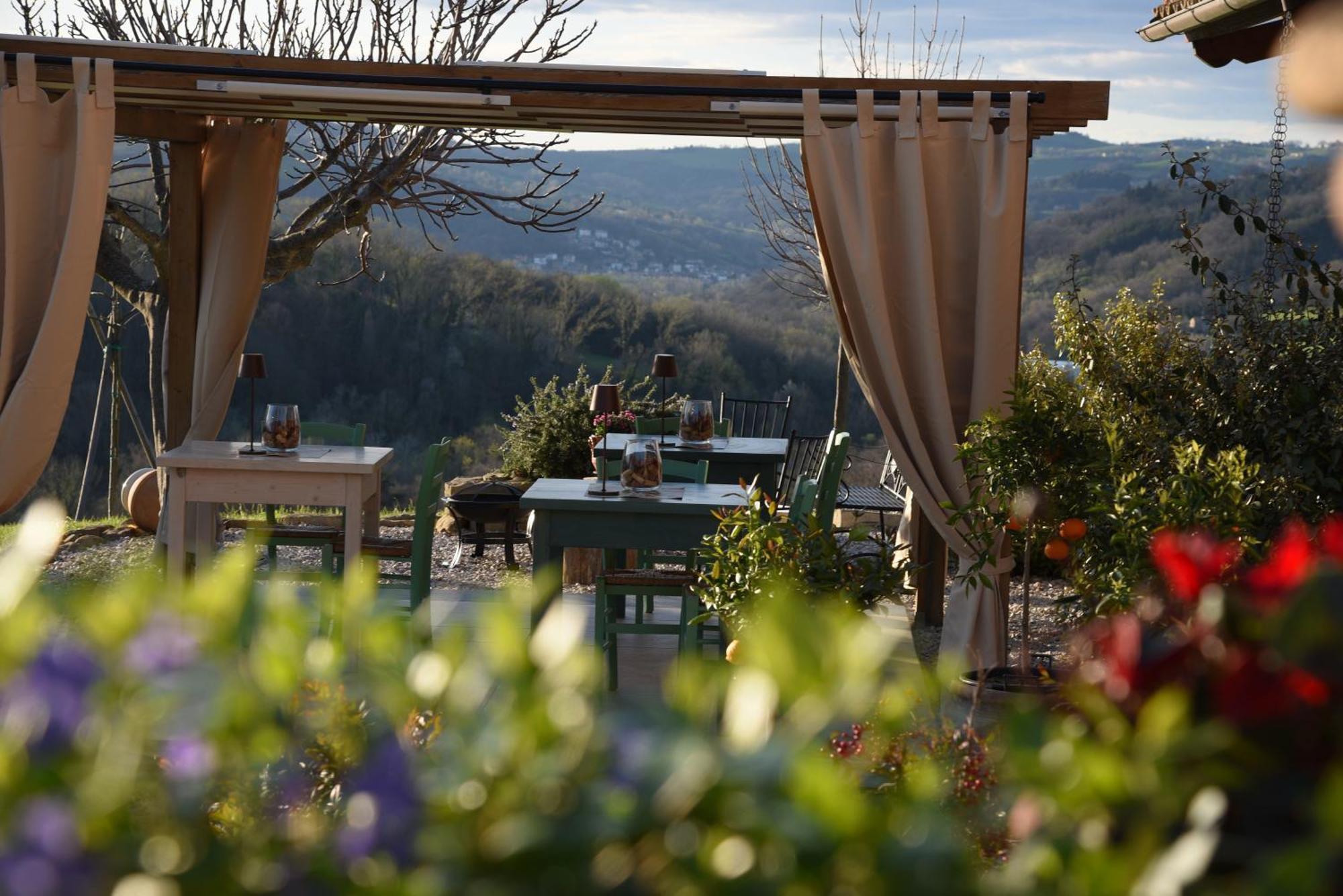 Quelli Del Picchio Bed & Breakfast Cupramontana Eksteriør bilde
